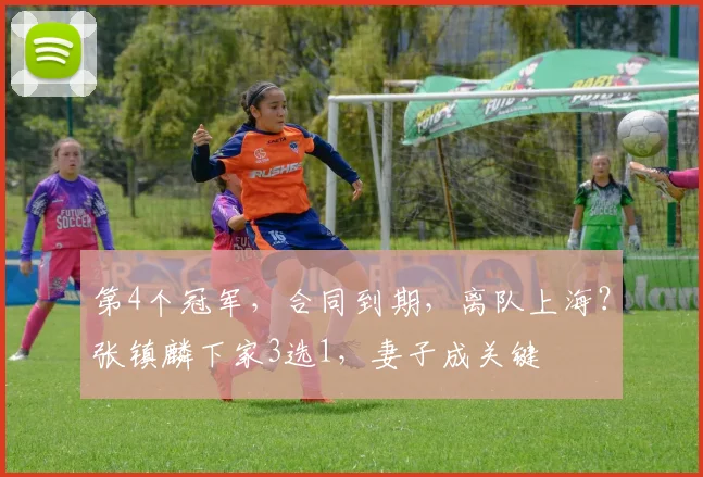 第4个冠军,合同到期,离队上海?张镇麟下家3选1,妻子成关键