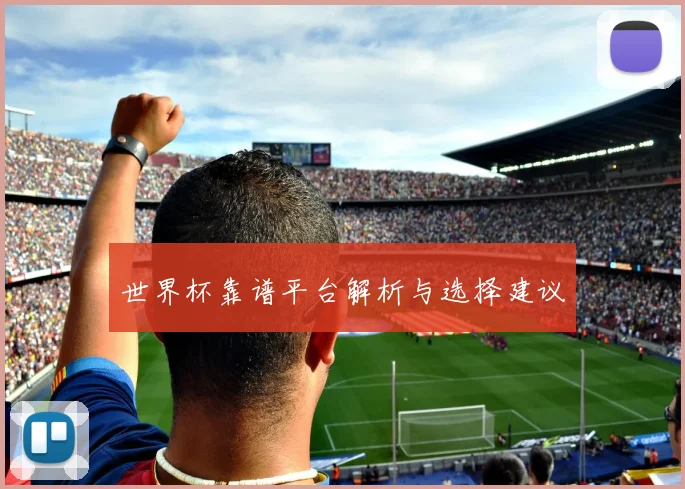 世界杯靠谱平台解析与选择建议