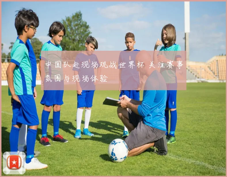 中国队赴现场观战世界杯 关注赛事氛围与现场体验