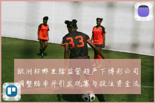 欧洲杯哪里赌监管趋严下博彩公司调整赔率并引发观赛与投注资金流向变化